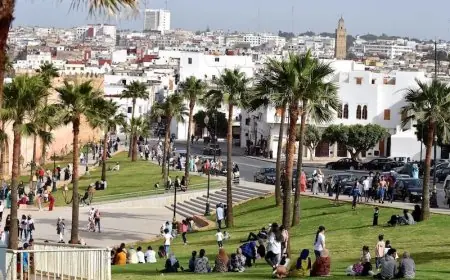 "مغرب البيئة 2050" تدعو للحد من التنخيل وتعزيز التشجير بالرباط