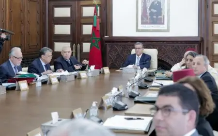 مجلس الحكومة يصادق على تعيينات جديدة في مناصب عليا