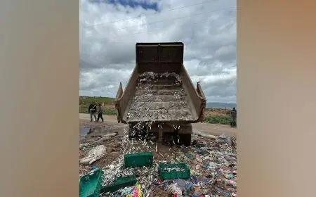 ضبط سردين فاسد بسوق تاهلة يعيد النقاش حول ضعف الرقابة الغذائية