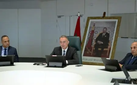 فوزي لقجع يعين إسماعيل الفتح لتقييم منظومة التحكيم الوطني
