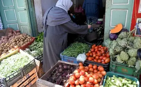 أسعار الخضر بالمغرب تتراجع نسبيا.. وتوقعات بمزيد من الانخفاض نهاية الأسبوع