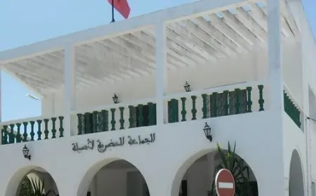 افتتاح باب الترشيحات لرئاسة مجلس جماعة أصيلة خلفا لبنعيسى