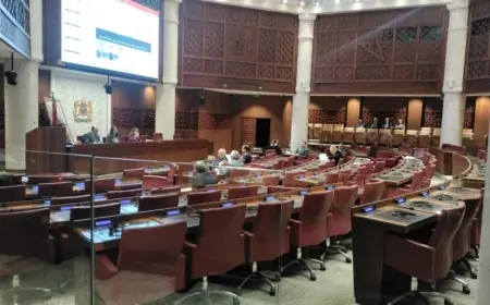 الحكومة تواصل دعم ورش الحماية الاجتماعية بشراكات دولية وموارد محلية