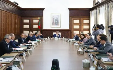 مجلس الحكومة يصادق على تعيينات جديدة في مناصب عليا