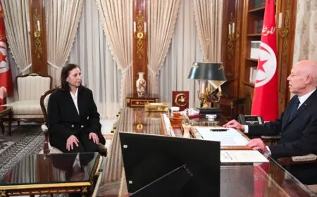 تونس.. قيس سعيد يعين سارة الزعفراني رئيسة للحكومة