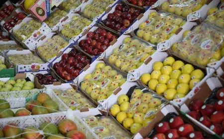 ارتفاع صادرات المغرب من الخضر والفواكه إلى إسبانيا