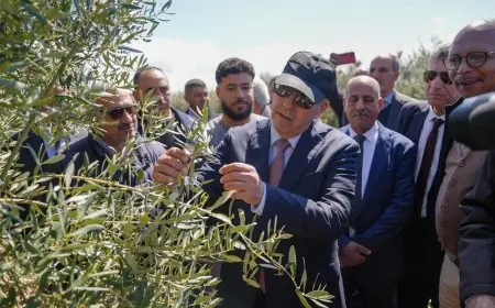وزير الفلاحة يؤكد تحسن الموسم الفلاحي في جهة فاس-مكناس