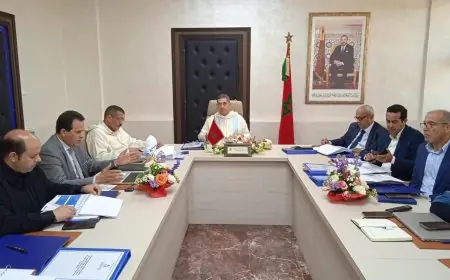 مجلس إدارة شركة النقل الحضري بأكادير يعقد اجتماعه لتقييم حصيلة عام 2024