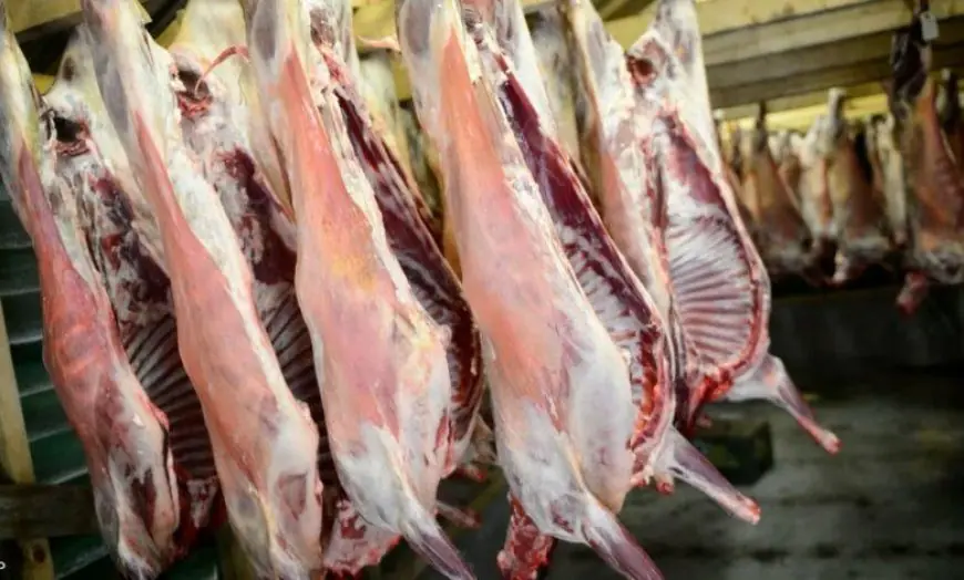 هذه حقيقة وجود مواد مسرطنة وخطيرة في لحوم الأغنام
