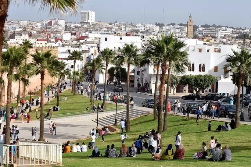 "مغرب البيئة 2050" تدعو للحد من التنخيل وتعزيز التشجير بالرباط