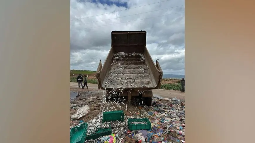 ضبط سردين فاسد بسوق تاهلة يعيد النقاش حول ضعف الرقابة الغذائية