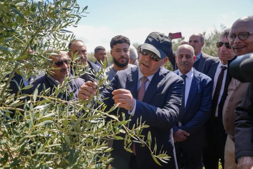 وزير الفلاحة يؤكد تحسن الموسم الفلاحي في جهة فاس-مكناس