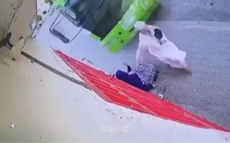 شاحنة نفايات تدهس سيدة خمسينية بفاس والنيابة العامة تفتح تحقيقا