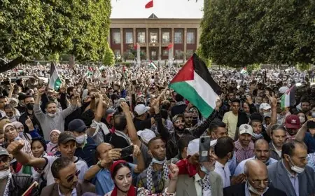 طلبة الهندسة يخوضون إضرابا تضامنيا مع غزة ويدعون لمقاطعة الداعمين للعدوان