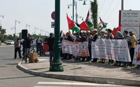 بسبب الاحتجاجات .. إدارة معهد الحسن الثاني بأكادير تلغي نشاط تكويني كان ستشرف عليه منظمة إسرائيلية