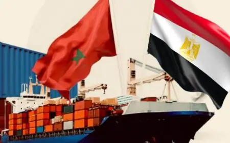 ترامب يشعل نار الرسوم.. والمغرب ومصر يبحثان عن مكاسب وسط تقلبات الأسواق