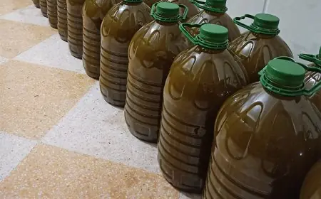 باحثون يدقون ناقوس الخطر: زيت الزيتون والعسل أكثر المنتجات تعرضا للتلاعب بالمغرب