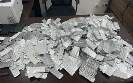 ضبط 425 قرص مهلوس وكوكايين خلال عملية أمنية بالقنيطرة