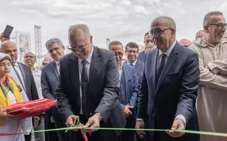 وزير الفلاحة يفتتح مهرجان اللوز بتافراوت ويعطي الانطلاقة لمشاريع بإقليم تيزنيت