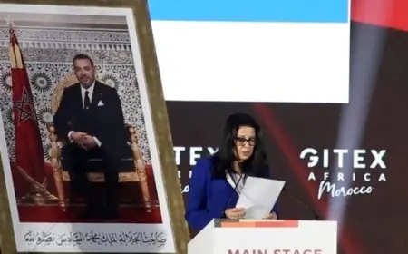 "جيتكس إفريقيا 2025".. السغروشني تؤكد ضرورة تجديد دور القارة في الاقتصاد الرقمي