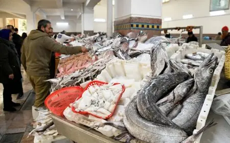 انخفاض الربح يفشل صفقة الأسماك بين المغرب وسبتة المحتلة
