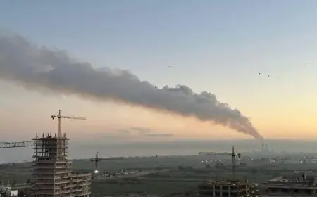 الفحم الحجري يشوه المحمدية ويهدد صحة سكانها.. والجمعيات تدق ناقوس الخطر