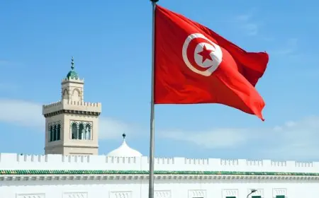 تونس.. أحكام بالسجن تصل إلى 66 سنة في قضية التآمر على أمن الدولة