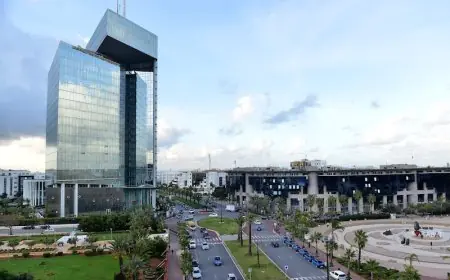 اتصالات المغرب تضاعف صبيب الألياف البصرية دون تغيير الأسعار وتكشف عن عروض جديدة