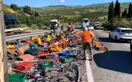 انقلاب شاحنة محملة بكمية كبيرة من السردين في الطريق الرابطة بين تطوان وطنجة