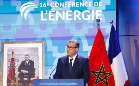 أخنوش: المغرب يوسع رهانه على الطاقات المتجددة لمواجهة تحديات الماء والمناخ
