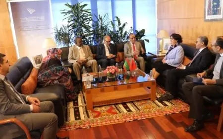 المغرب وموريتانيا يجددان التزامهما بالتعاون في تنظيم الإعلام