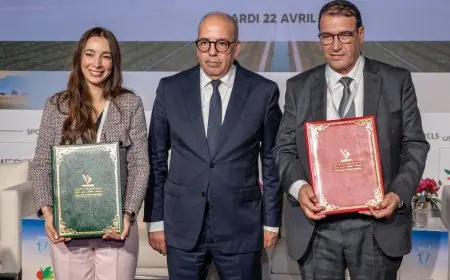 اتفاقيات استراتيجية لدعم الزراعات الزيتية وتعزيز السيادة الغذائية بالمغرب
