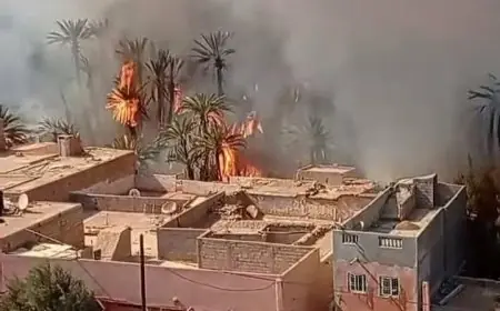 كلميم.. اندلاع حريق مهول بواحة تغجيجت