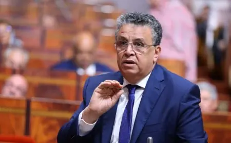 وهبي يكشف عن خطط حكومية لمكافحة جرائم السلاح الأبيض في الشوارع