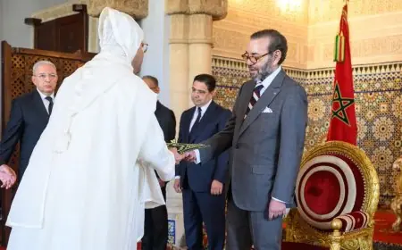 الملك محمد السادس يعين عددا من السفراء الجدد