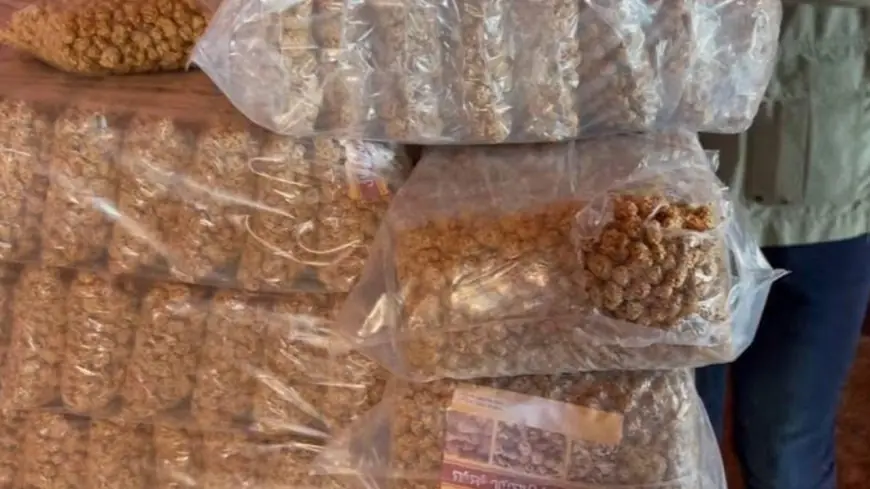 عملية تفتيش بالقنيطرة تسفر عن حجز مواد "كاوكاو معسل" في ظروف غير صحية