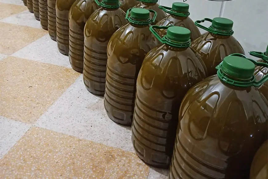 باحثون يدقون ناقوس الخطر: زيت الزيتون والعسل أكثر المنتجات تعرضا للتلاعب بالمغرب