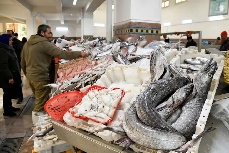 انخفاض الربح يفشل صفقة الأسماك بين المغرب وسبتة المحتلة