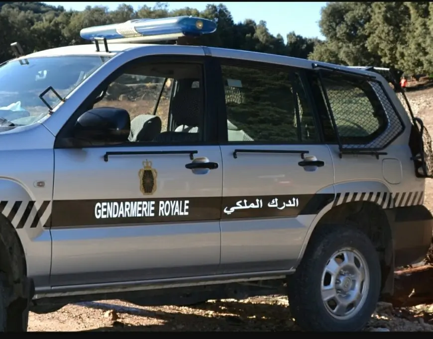 الدرك الملكي يحجز نصف طن من "الشيرا" ومعدات للتهريب الدولي بسيدي رحال الشاطئ