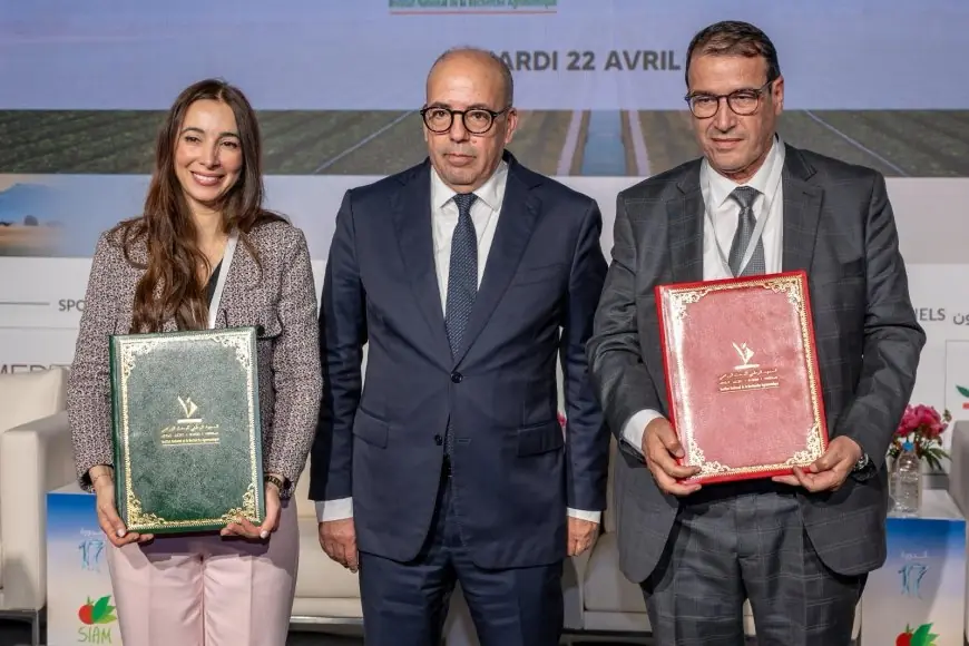 تطوير سلسلة الزراعة الزيتية في المغرب ضمن استراتيجية الجيل الأخضر