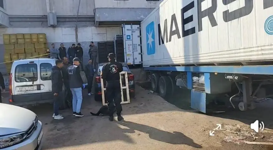 إحباط عملية تهريب كوكايين عبر شحنة أفوكادو في سوق الجملة بالدار البيضاء