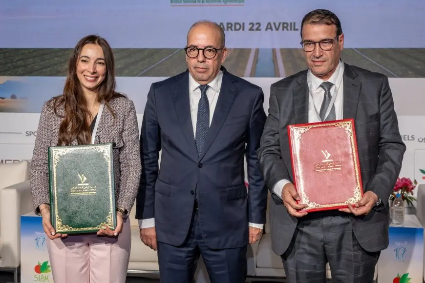اتفاقيات استراتيجية لدعم الزراعات الزيتية وتعزيز السيادة الغذائية بالمغرب
