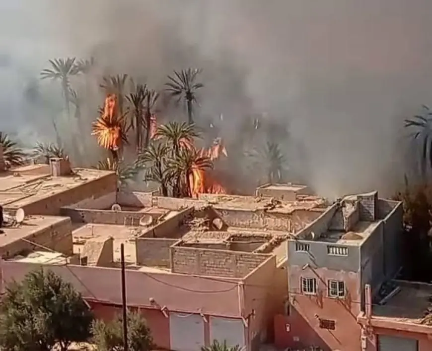 كلميم.. اندلاع حريق مهول بواحة تغجيجت