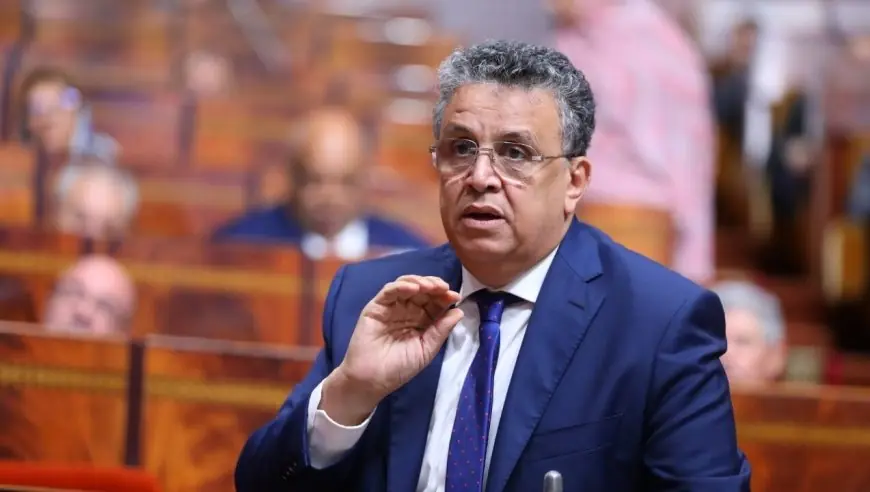 وهبي يكشف عن خطط حكومية لمكافحة جرائم السلاح الأبيض في الشوارع
