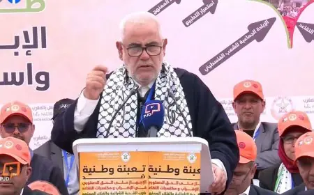 انتقادات واسعة لبنكيران بعد وصفه لبعض المغاربة بالميكروبات والحمير