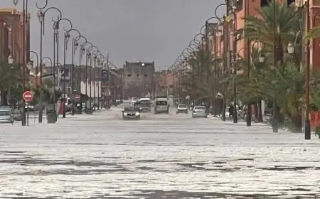 أمطار عاصفية تضرب زاكورة