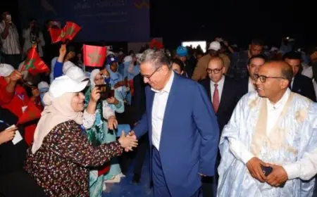 أخنوش يرد على منتقدي الحكومة ويؤكد أولوية العمل على الشعارات