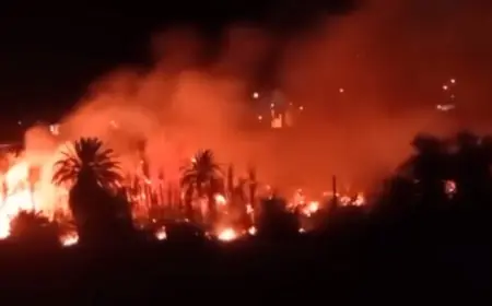 حريق مهول يلتهم واحة الزاك بكلميم وسط جهود لاحتوائه
