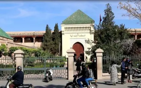 ابتدائية مراكش تدين محاميا بسنة ونصف سجنا نافذا بعد توقيفه في حالة سكر