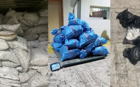 حجز أزيد من نصف طن من الكوكايين بميناء طنجة